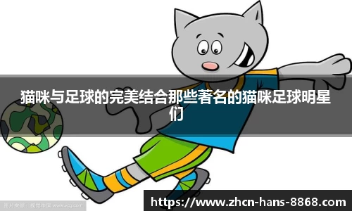 8868体育网页版在线